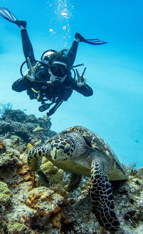 Plongeur explorant un cenote dans la péninsule du Yucatán
