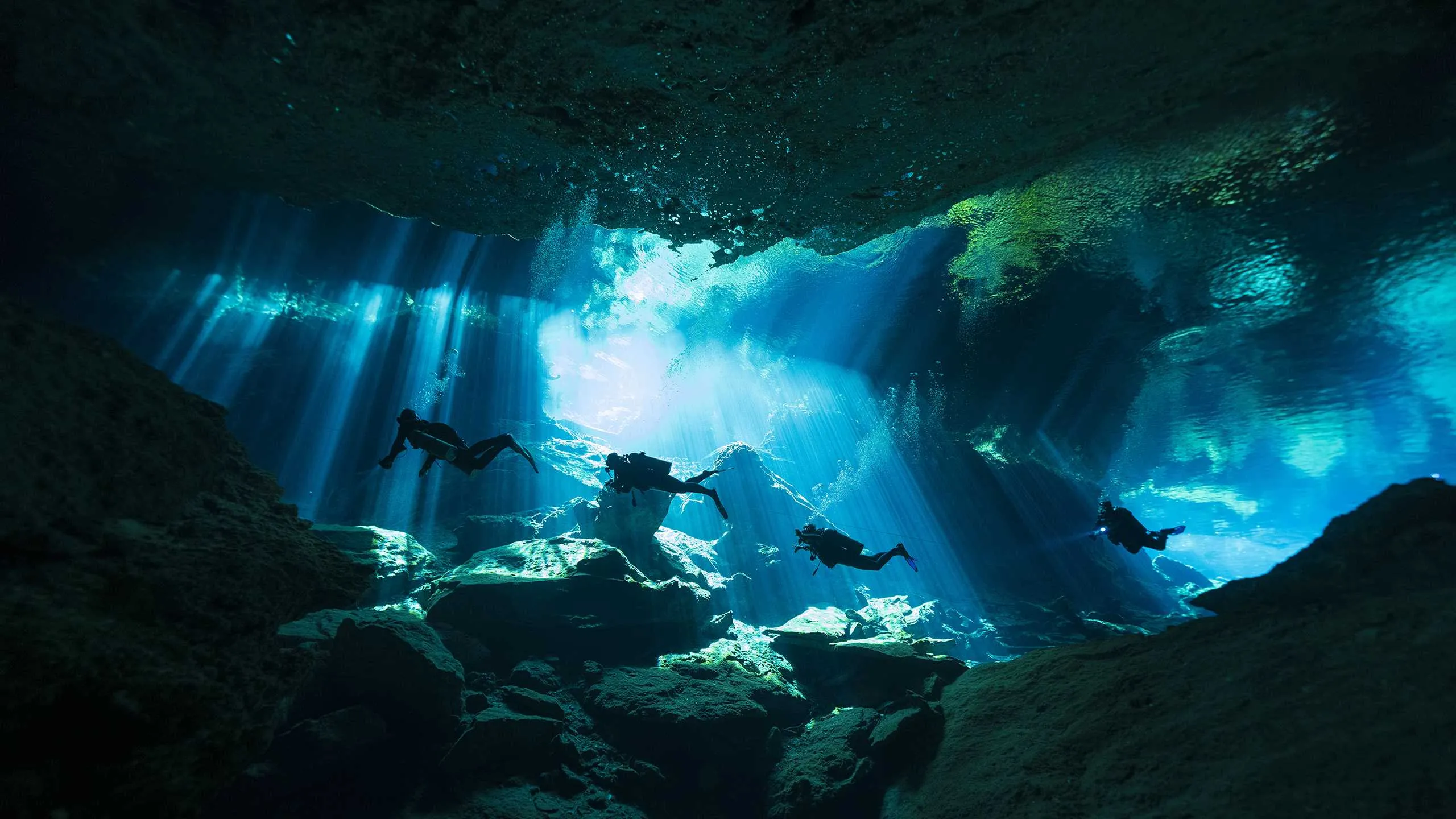 Plongée dans un cenote traversé par un faisceau de lumière