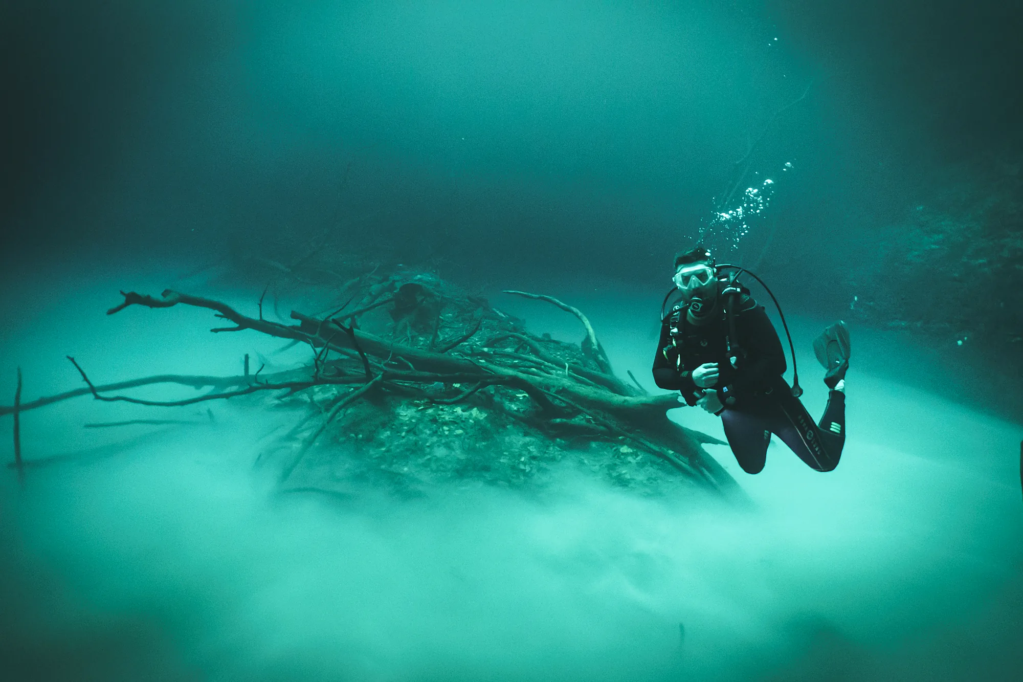 Plongeur explorant les arbres immergés du cenote Angelita